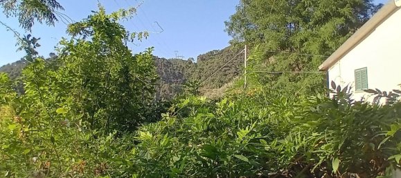 6 rooms House in San Giuliano Terme, Italy No. 145591 12