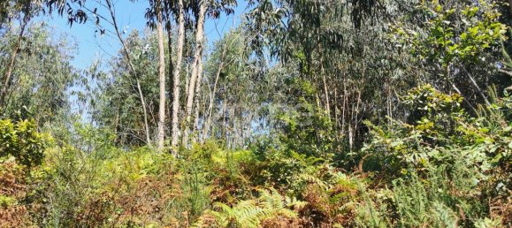 قطعة أرض في Santa Maria da Feira, Portugal 9178متر مربع رقم 85129 38