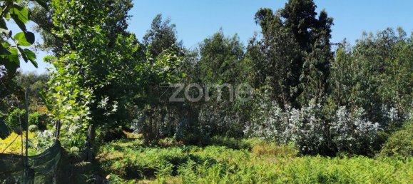 قطعة أرض في Santa Maria da Feira, Portugal 9178متر مربع رقم 85129 28