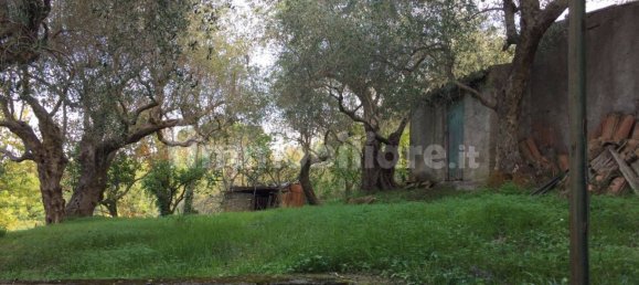 5 bedrooms Villa in Naso, Italy No. 255640 5