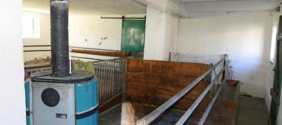 2000m² Commercial property in Weitersfeld, Austria No. 199085 49