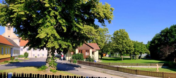 2000m² Commercial property in Weitersfeld, Austria No. 199085 6