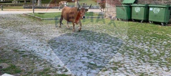 2 bedrooms House in Valdreu, Portugal No. 183325 8