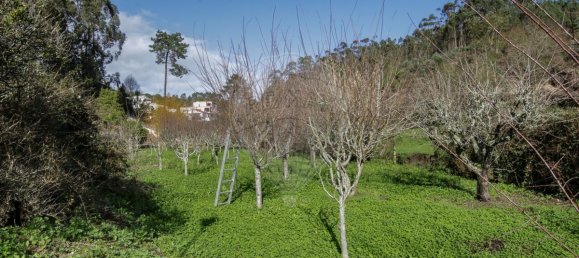 Casa de 9 dormitorios en Sintra, Portugal No. 67589 39