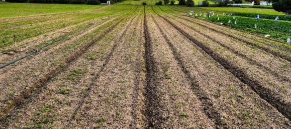  قطعة أرض في Alcochete, Portugal 7400متر مربع رقم 88919 30