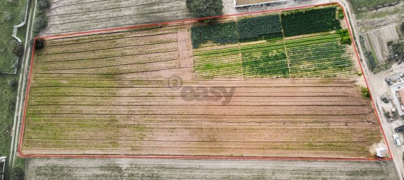  قطعة أرض في Alcochete, Portugal 7400متر مربع رقم 88919 23