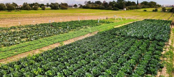  قطعة أرض في Alcochete, Portugal 7400متر مربع رقم 88919 16