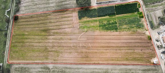  قطعة أرض في Alcochete, Portugal 7400متر مربع رقم 88919 2