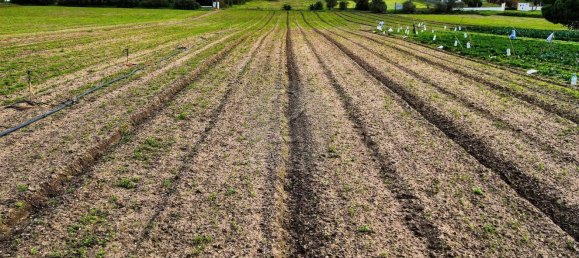  قطعة أرض في Alcochete, Portugal 7400متر مربع رقم 88919 13