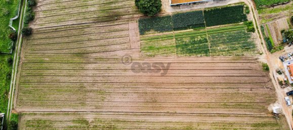  قطعة أرض في Alcochete, Portugal 7400متر مربع رقم 88919 22