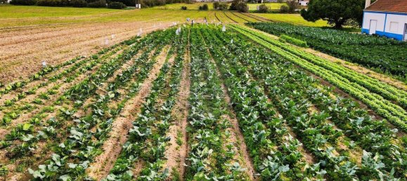  قطعة أرض في Alcochete, Portugal 7400متر مربع رقم 88919 15