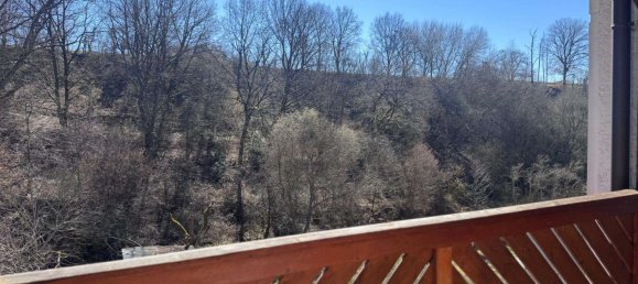 6 غرف نوم تاون هاوس في Kaiserslautern, Germany رقم 84884 27