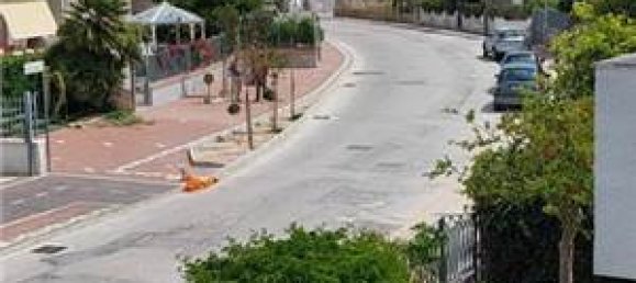 2 bedrooms House in Veneto, Italy No. 153128 17