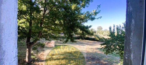 4غرفة منزل في Palmoli, Italy رقم 140438 20