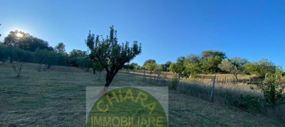 4غرفة منزل في Palmoli, Italy رقم 140438 26