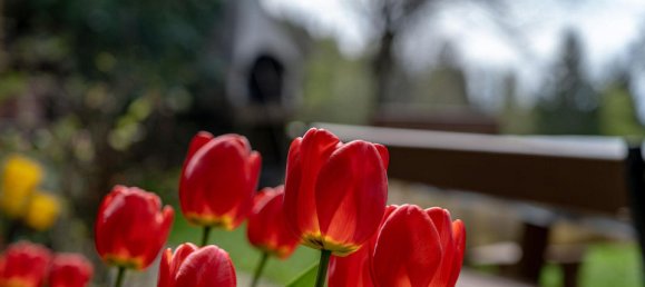 4-salle Maison à Deutschlandsberg, Austria No. 127339 31