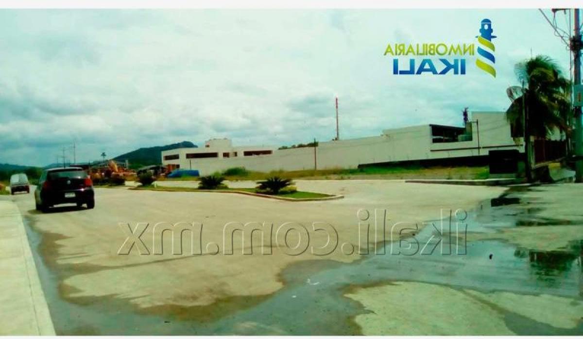  Land in Veracruz, Mexico No. 203516