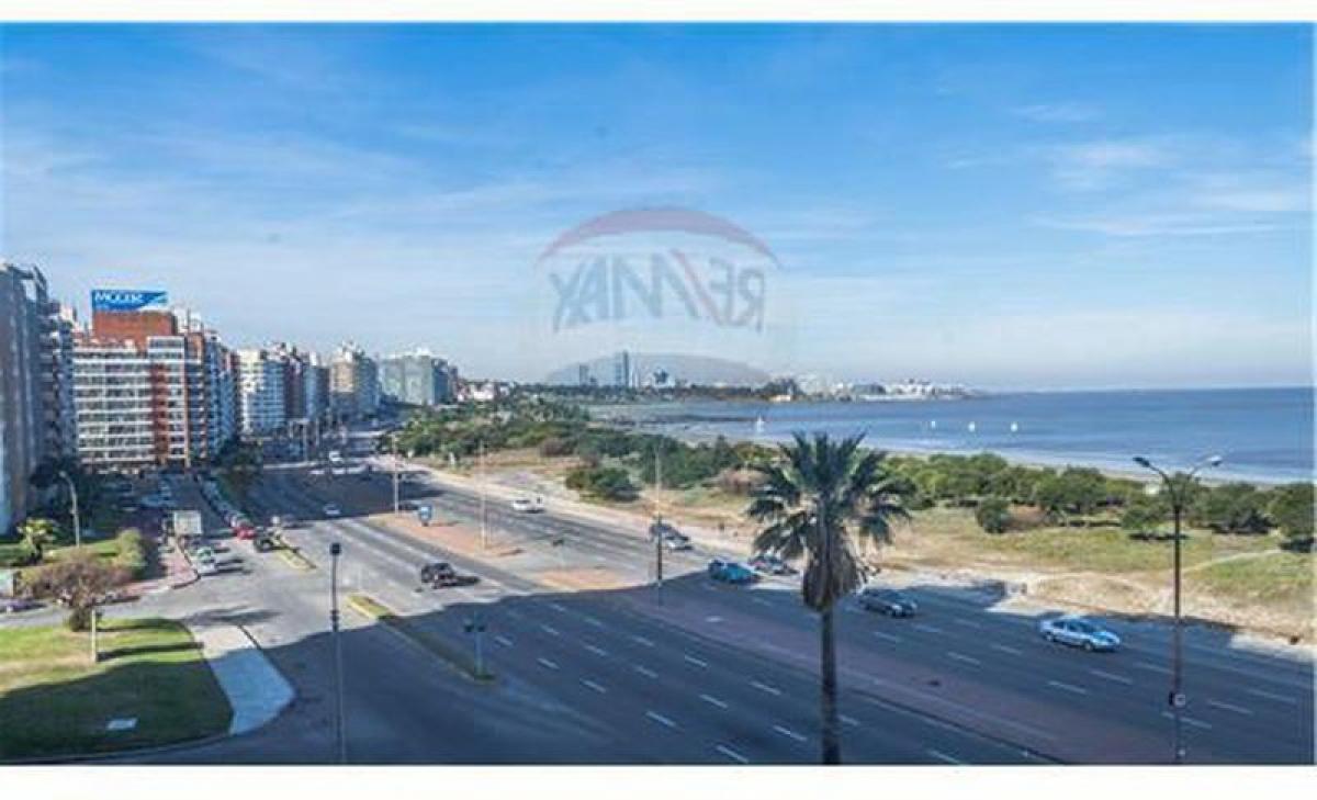 Studio in Montevideo, Uruguay No. 2184