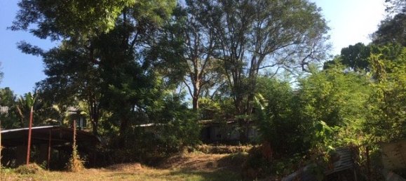 Propiedad comercial en Phuket, Thailand 1 m² No. 7134 4