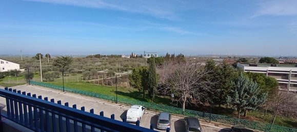 5-Zimmer Wohnung in Troia, Italy, Nr. 80221 24