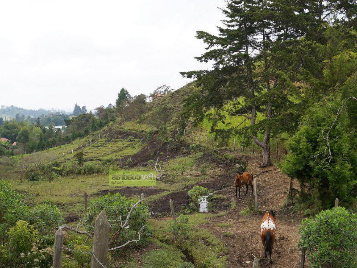 Terreno em Antioquia, Colombia N.º 760