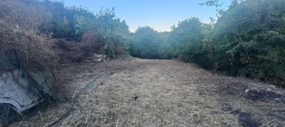  قطعة أرض في Piedimonte Etneo, Italy 7000متر مربع رقم 274751 10