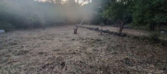  قطعة أرض في Piedimonte Etneo, Italy 7000متر مربع رقم 274751 2