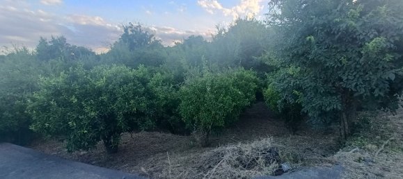  قطعة أرض في Piedimonte Etneo, Italy 7000متر مربع رقم 274751 6