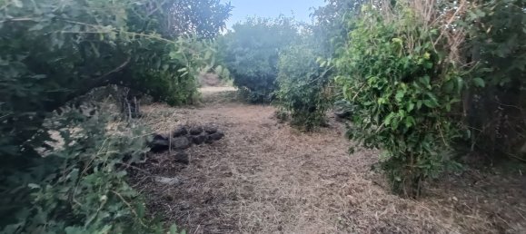  قطعة أرض في Piedimonte Etneo, Italy 7000متر مربع رقم 274751 9