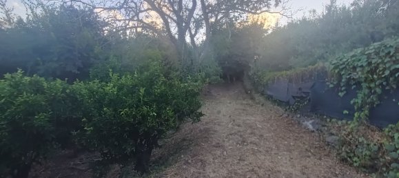  قطعة أرض في Piedimonte Etneo, Italy 7000متر مربع رقم 274751 3