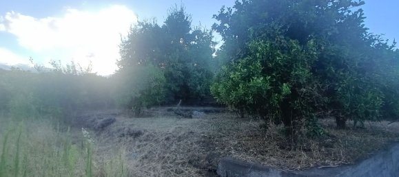  قطعة أرض في Piedimonte Etneo, Italy 7000متر مربع رقم 274751 4