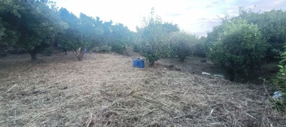  قطعة أرض في Piedimonte Etneo, Italy 7000متر مربع رقم 274751 12