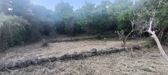  قطعة أرض في Piedimonte Etneo, Italy 7000متر مربع رقم 274751 13