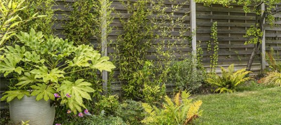 5 bedrooms House in New Barnet, United Kingdom No. 6691 3