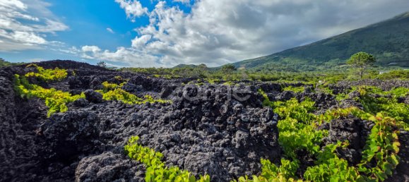 Земельный участок в Мадалена, Португалия № 280428 2