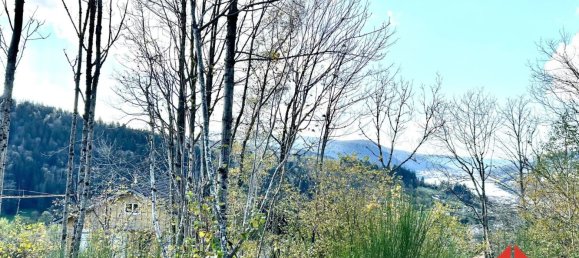 Terrain à Gérardmer, France 2170m² No. 213353 3