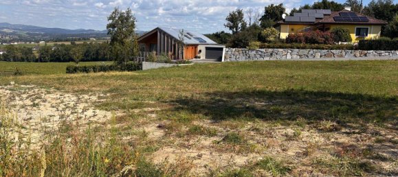 1327m² Land in Ried in der Riedmark, Austria No. 257828 2