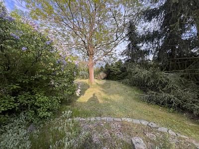 3 rooms House in Nordsachsen, Germany No. 357775