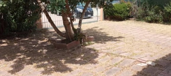 2 Schlafzimmer Wohnung in San Teodoro, Italy, Nr. 351805 7