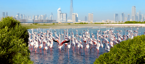 2 bedrooms Apartment in Mohammed Bin Rashid City, UAE No. 14966 4