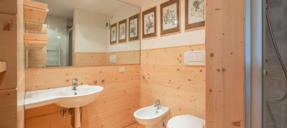 3 rooms Apartment in Cortina d'Ampezzo, Italy No. 60100 33