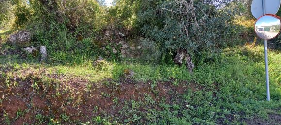 Terrain à Loule, Portugal No. 157884 9