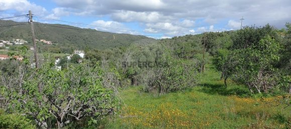 Terrain à Loule, Portugal No. 157884 6