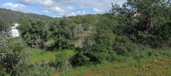 Terrain à Loule, Portugal No. 157884 5