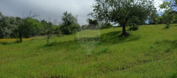 Terrain à Loule, Portugal No. 157884 3