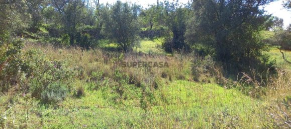 Terrain à Loule, Portugal No. 157884 8