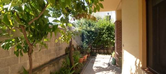 14 rooms Villa in Montesilvano, Italy No. 303488 44