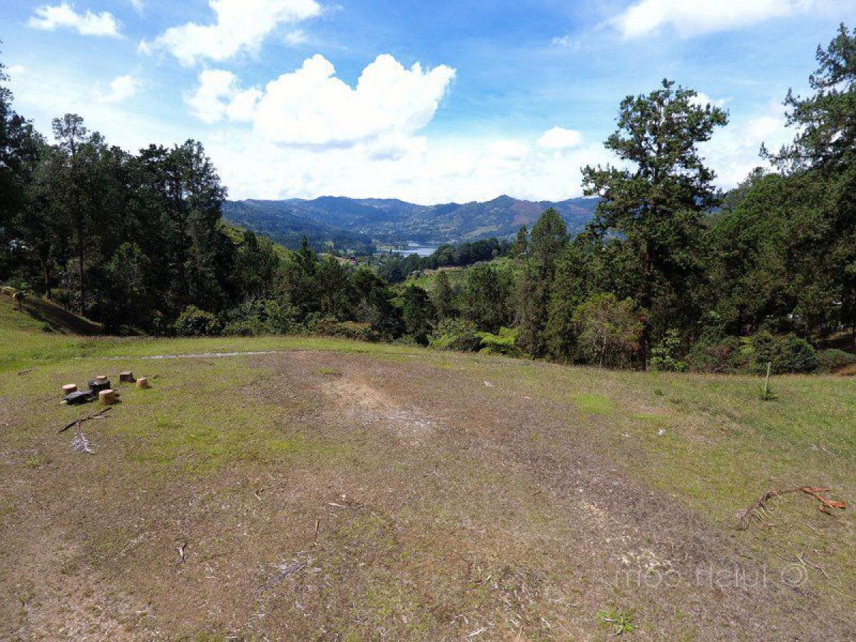  Land in Antioquia, Colombia No. 575