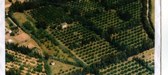  قطعة أرض في Sardinia, Italy 980000متر مربع رقم 252638 3