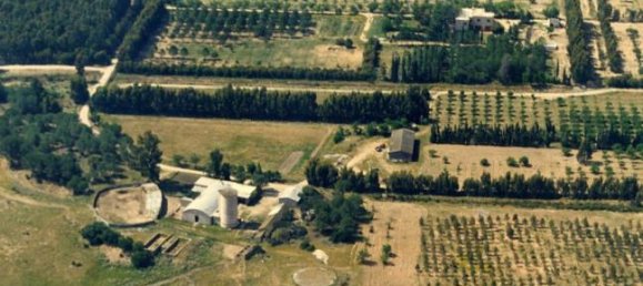  قطعة أرض في Sardinia, Italy 980000متر مربع رقم 252638 2